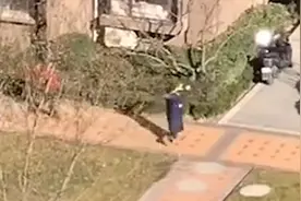 网曝！西安一小区物业消毒照片竟为摆拍，只为做做样子视频封面