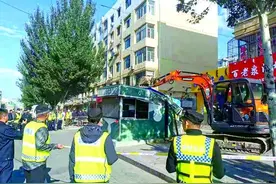 昆区10个小丽花棚亭被拆除图片