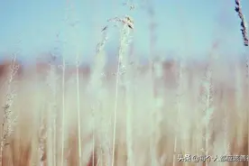 分享上学期间的趣闻轶事图片