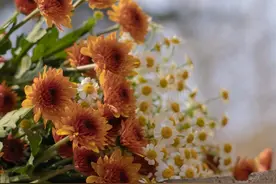 骨子里傲气逼人的星座：做人太冷，做事够狠图片