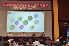 共264个岗位！昆明发布高层次紧缺急需人才引进指导目录图片