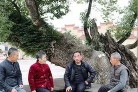 拆除“三房”2万多平方0纠纷，新余这个村积极推动“五治”融合图片