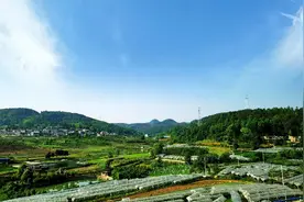 认领一块土地·享受劳动快乐    马头“开心农场”认领受市民热捧图片