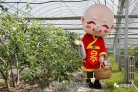 乡村振兴看如皋 | “如宝”带货！如皋一批特色农产品成“网红”～图片