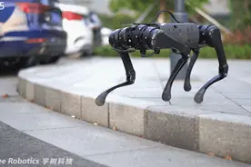 国产机器狗的曙光-宇树A1正式商业化的第一步图片