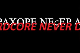浅析“硬核（Hardcore）”一词在不同音乐流派中语意和用法图片