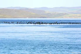 中国是如何失去贝加尔湖的？图片