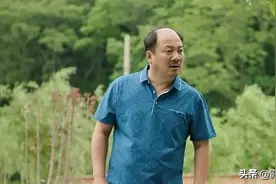 “乡爱13”越来越水，剧情全是套路，金牌编剧四年前就已预料到图片