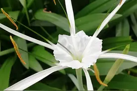 《易经》告诉你：世界上最上乘的风水其实是这样的图片