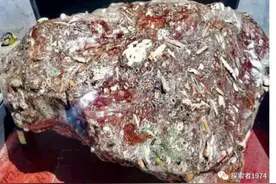 山西陨石收藏家发现“星际硅基异形”图片