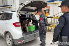 东岗派出所联合警犬队开展毒品查缉工作图片