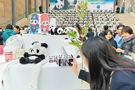 大熊猫为啥这么珍贵图片