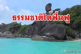 疫期海洋生态恢复，斯米兰群岛海域现20头黑耳鲨图片
