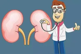 男性晨起时，做好这4个动作，你的肾脏会重回18岁图片
