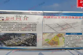 长春朝阳经济开发区双山棚改地块将于9月挂牌图片