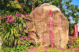 冬游海南（8）美丽新海岸图片