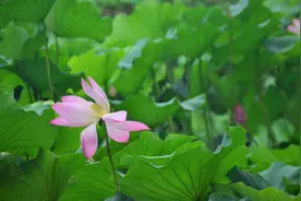 用镜头记录旅游|我怀念那个可以四处玩耍的夏天图片