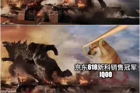细分之王者，总单之亚军，手机行业黑马如何练就？图片