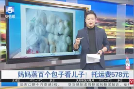 猪儿摆新闻：妈妈带100个包子坐飞机看儿子 看到托运费时哭笑不得视频封面