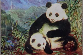 八十年代初中有一门好看又长知识的课本叫《动物学》还认识吧？图片