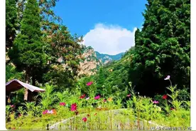 天津梨木台图片