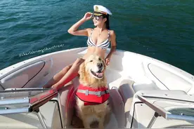 暖心大金毛与它的美女主人的快乐日常！羡慕的吃柠檬图片