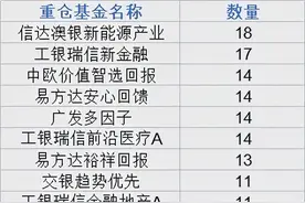 机构眼中的十大牛基：张清华YYDS，袁维德等中生代明星被追逐图片