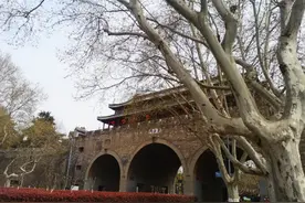 都市中的“世外桃源”南京城内小桃园春意正浓，花开满园！图片