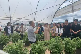 凉山籍学子到会东县进行“家乡行”交流活动图片