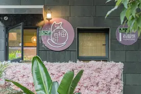 皇后公园旁的日系猫咖！撸猫、美食、拍照，治愈你的“没猫病”图片