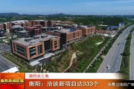 湘约长三角 衡阳：洽谈新项目达333个图片