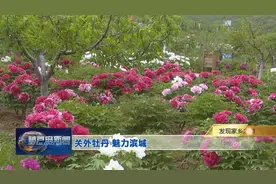关外牡丹花开 农民喜笑颜开——天香源生态农场发展旅游业助力脱贫攻坚纪实图片