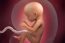 在子宫里发育不错的宝宝，大多有这3个特点，孩子赢在起跑线上图片