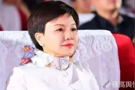 领高网络舆情：中国女首富何巧女跌落神坛 成被执行人图片