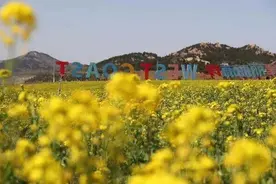五一堵成狗？那就在西海岸风景区里置业图片