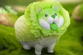 78官测：dodowo朵朵窝 盲盒 蔬菜精灵 Vol.1 菜狗来袭图片