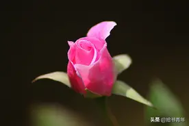 人，守住自己的嘴，是一种福气图片