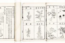 “寡妇床头灰”有大作用？本草纲目中有记载，医学界已经承认视频封面