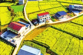重磅！剑阁这些村大变样，有你的家乡吗？图片