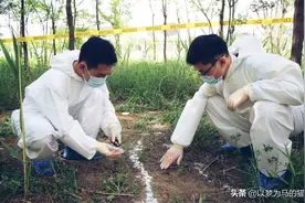 填报志愿：这5个专业“胆子很大”才能报考，就业前景都很不错图片