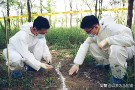 填报志愿：这5个专业“胆子很大”才能报考，就业前景都很不错图片