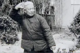 浅谈王青山的实战功夫，师承傅剑秋宗师，艺成40余年未尝败绩图片