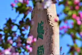 元大都“海棠花溪”图片