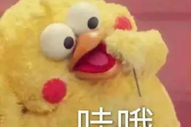 哪款童鞋安全又耐穿？这场发布会告诉你答案！图片