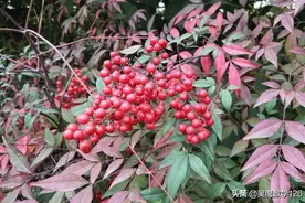 浅说直线的斜率与截距图片