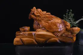太行崖柏陈华红油料全手工雕刻【龙龟】寓意【荣归故里】喜欢点赞图片
