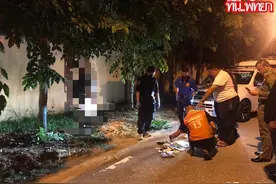 对爱情失望！泰国摩的司机路边树上吊死图片
