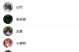北大流浪猫小程序走红 网友云吸猫服务器一度“崩溃”图片