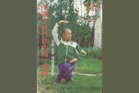 中国少林气功内劲一指禅\保健快得功图片