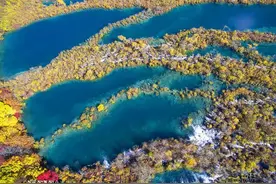阔别四年，九寨沟景区全域恢复开放！熊猫海、箭竹海强势回归图片